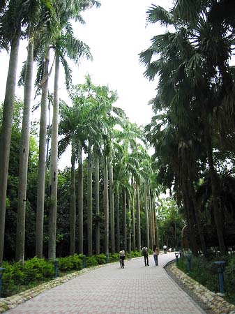 Botanischer Garten Foto 