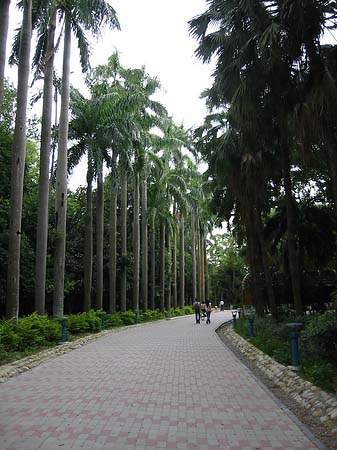 Fotos Botanischer Garten