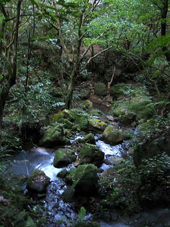 Yangminshan Fotos