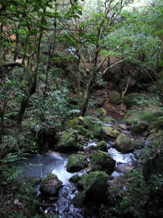 Yangminshan Fotos