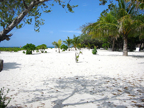 Fotos Der weiße Sandstrand