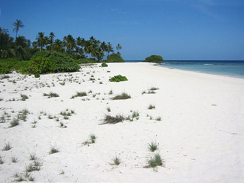 Der weiße Sandstrand Foto 