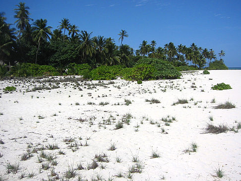 Foto Der weiße Sandstrand