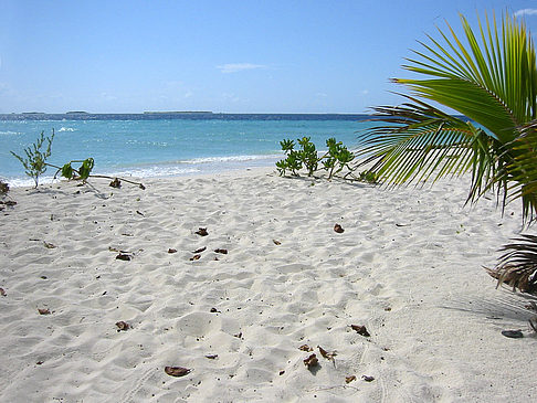 Foto Der weiße Sandstrand