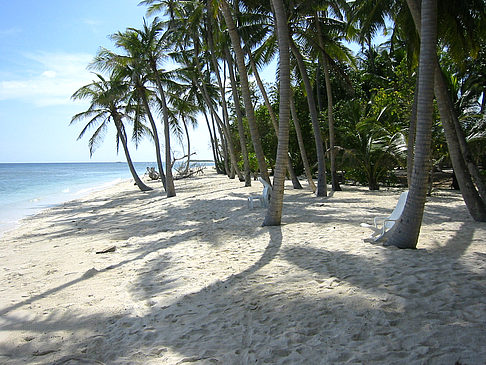 Der weiße Sandstrand Fotos