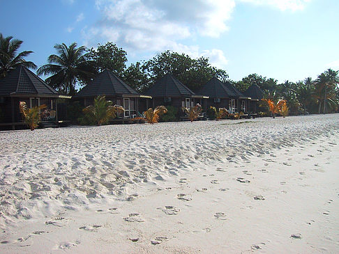 Foto Der weiße Sandstrand der Malediven