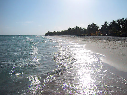 Foto Der weiße Sandstrand der Malediven