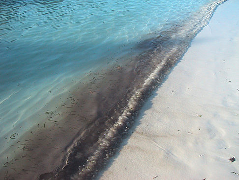 Fotos Der weiße Sandstrand der Malediven