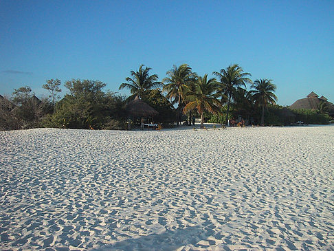 Foto Der weiße Sandstrand der Malediven - 