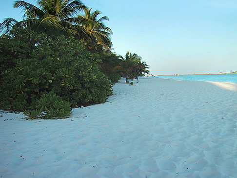 Der weiße Sandstrand der Malediven