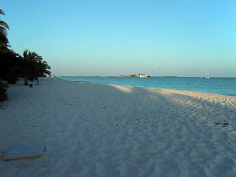 Foto Der weiße Sandstrand der Malediven