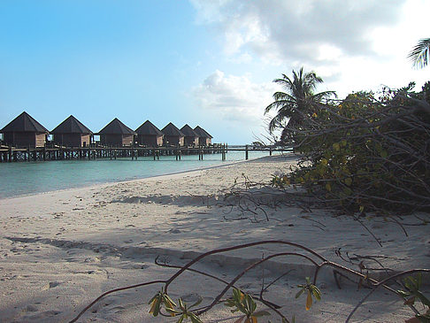 Fotos Der weiße Sandstrand der Malediven