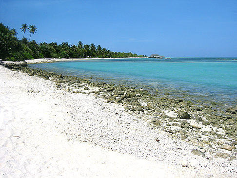 Fotos Felsiger Strand | 