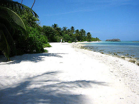 Felsiger Strand Fotos