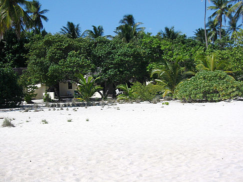 Fotos Wohnungen am Strand | 