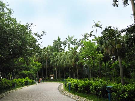 Foto Botanischer Garten - Taipeh