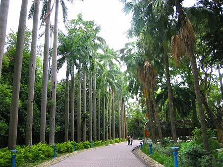 Fotos Botanischer Garten | Taipeh