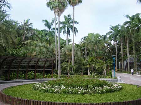 Foto Botanischer Garten