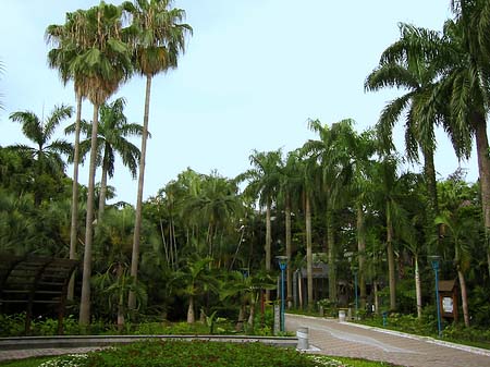 Foto Botanischer Garten