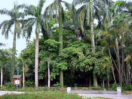 Foto Botanischer Garten - Taipeh