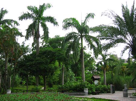 Fotos Botanischer Garten