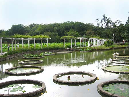 Fotos Botanischer Garten | Taipeh