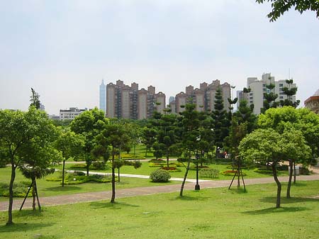 Foto Daan Park - Taipeh