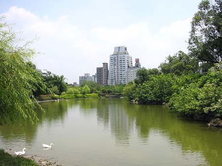 Foto Daan Park - Taipeh