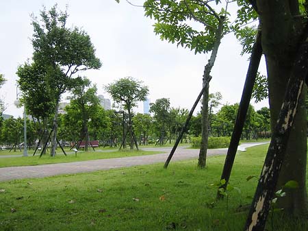 Foto Daan Park - Taipeh