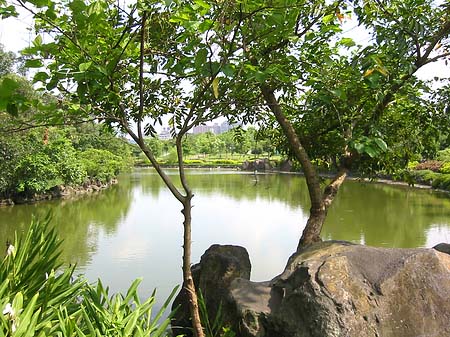 Fotos Daan Park | Taipeh