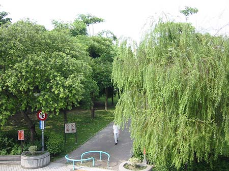 Foto Daan Park - Taipeh