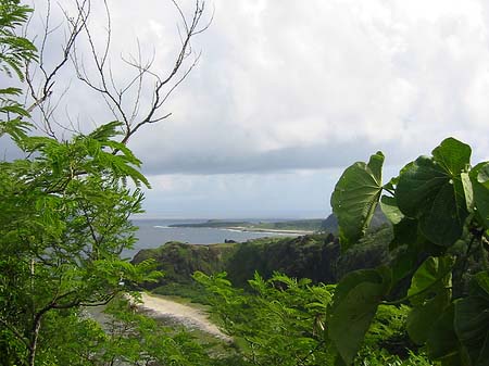 Green Island Foto 