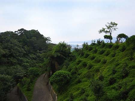 Juming Museum Fotos