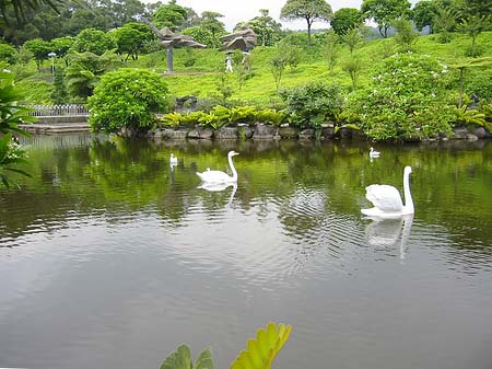 Juming Museum