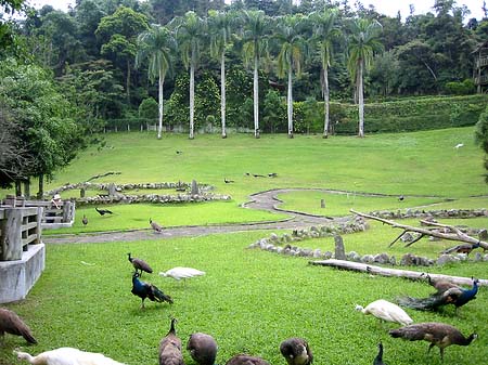 Sun Moon Lake