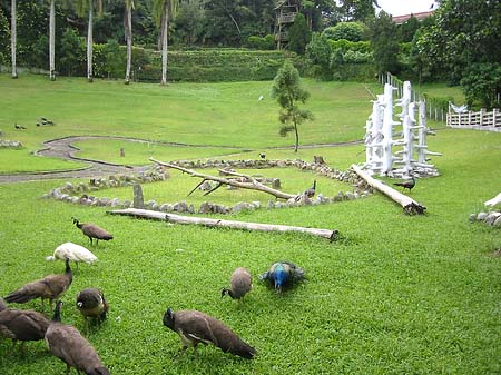 Foto Sun Moon Lake