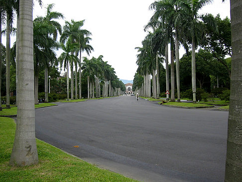 Foto Universität - 