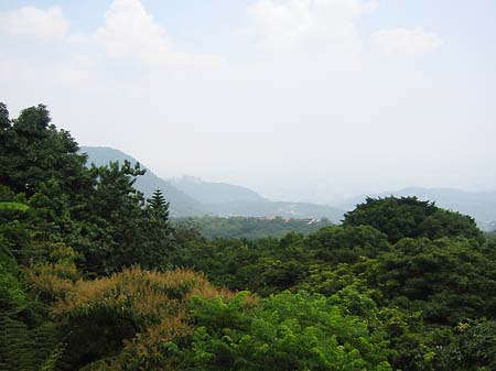 Yangminshan Foto 